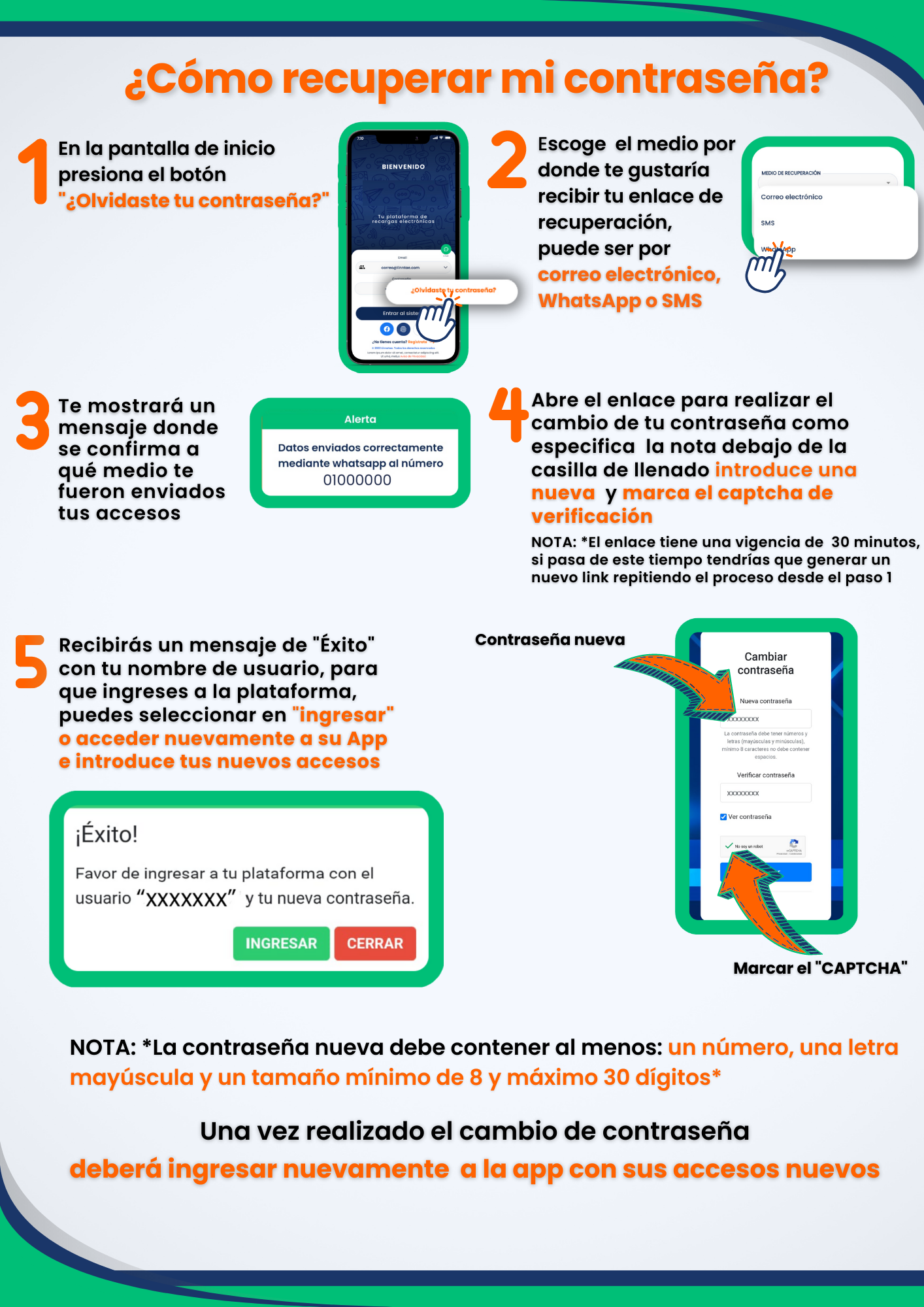Manual visual para recuperar la contrasena en la app Linntae